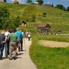 l_gorce_018.jpg