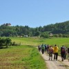 dsc_1442.jpg