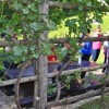 l_gorce_063.jpg