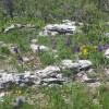 s_paklenica_023.jpg