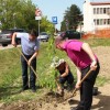 skupnostni_eko_vrtovi_53.jpg