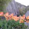 imgp3477a_000.jpg