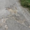 otocec_lesnica_03.jpg
