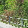 novo_mesto_001.jpg