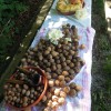 pohod_019.jpg