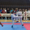z_karate_013.jpg