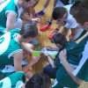 z_kosarka_006.jpg