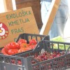 eko_praznik_033.jpg