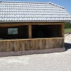 veselavas005.jpg