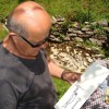 kobile_003.jpg