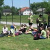 veterpom011.jpg