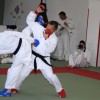 judo_007.jpg