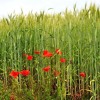 h_pohod_009.jpg