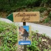 p_gabrovka_005.jpg