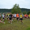 semic004.jpg