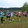 semic012.jpg