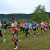 semic011.jpg