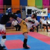z_sobota_008.jpg