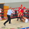 boks_017.jpg
