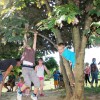 prvi___portni_piknik_425.jpg