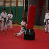 z_karate_024.jpg