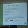 c_lesarji_gradbinci_001.jpg