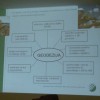 c_lesarji_gradbinci_005.jpg