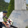 medvedjek_2014_11.jpg