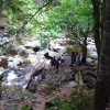 l_pohorje_022.jpg