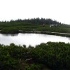 l_pohorje_038.jpg