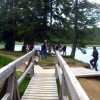 l_pohorje_031.jpg
