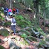 l_pohorje_028.jpg