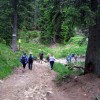 l_pohorje_036.jpg