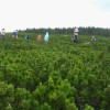 l_pohorje_039.jpg