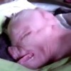 deformirani prašiček.jpg