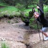 l_pohorje_041.jpg
