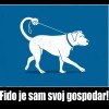 48_karikature.jpg