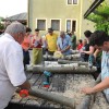 priprava_polen_za___itake.jpg