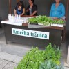 zivahen_dan_trznica_sevnicai003.jpg