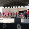 vrsac2014__27_.jpg