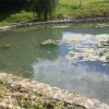 luza_003.jpg