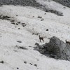 planinci_020.jpg