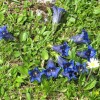 planinci_040.jpg