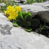 planinci_018.jpg