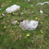 planinci_036.jpg