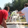 cirnik016.jpg