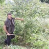hinje019.jpg