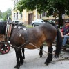 anin_sejem001.jpg