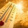 temperature.jpg