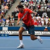 del potro.jpg